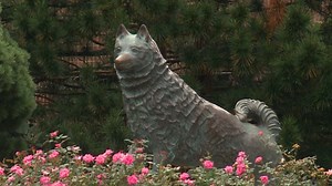 UConn places second dorm in quarantine due to coronavirus