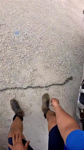 Trailer Rental Consultant (@dfwtrailerrental)’s videos with News Reports Background Music / Serious, Breaking News(1233862) - Ney