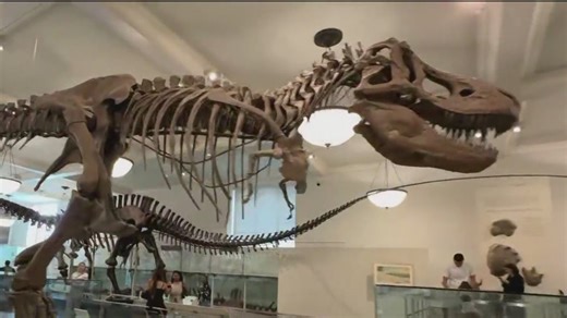 Get free and discount tickets for some NYC museums and cultural events