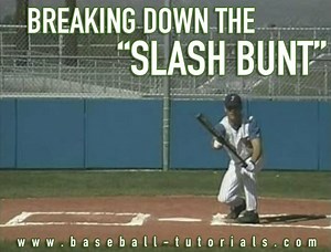 Breaking Down the Slash Bunt
