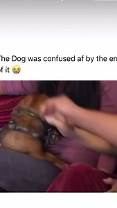 24K views · 17K reactions | Just cuz I don’t agree with the Godfather of the industry & some of his methods doesn’t mean I don’t continue to pay homage for paving the way for all of us. To me this is an outdated method. I think the industry has evolved so much since the alpha rolling days & has moved to a more patient, relationship focused approach. At least I have anyway. | Team Floppy Ears | Facebook