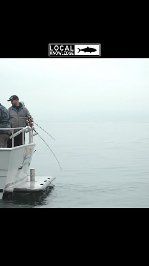 “A 25 lb Lingcod is barely legal!” (Full Episode of S4 E10 available on YouTube) LINK IN BIO #fishing #fishingtime #fishingdaily #fishtok #fishingtiktok #sportfishing #alaska #alaskafishing #fishingalaska #lingcod #lingcodfishing | Local Knowledge