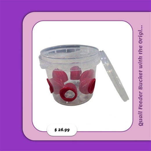 Discover the joy of happier quails! 🐦💖 Introducing the Quail Feeder Bucket with Original Quail Feed Saver Ports by 2B Creations, made right here in the USA! 🇺🇸✨ Designed for durability and efficiency, this feeder ensures your feathered friends have access to fresh feed 🌱 without the mess. Perfect for backyard enthusiasts, it effortlessly blends into your outdoor space while keeping your quails fed and happy. Don’t wait—grab yours today for just $26.99! 🛒✨ Your quails will thank you! #Quail