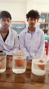 प्रयोगशालामा गरिएको अण्डा सम्बन्धी Experiment! #EggsExperiment