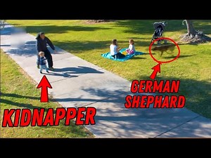 German Shephards Who Saved Their Owners' Lives