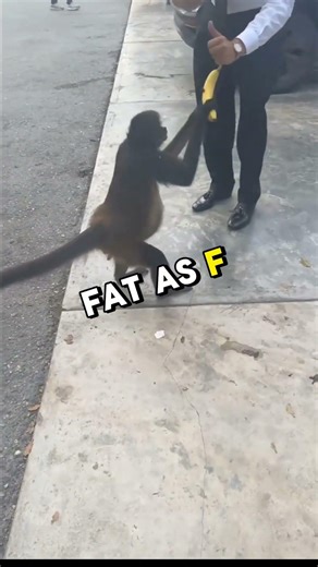 Bro ate too much 🤣