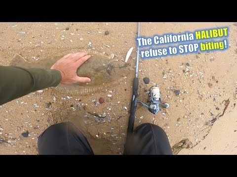 The California HALIBUT refuse to STOP biting...and FLIPPING me the FIN!
