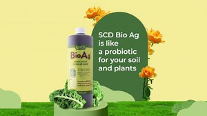 SCD BioAg – Organic Farm and Garden Soil Microbes, Compost Starter with 12 Probiotic Strains, Live Super Concentrate of Liquid Microorganisms, Chemical-Free Soil Amendment by SCD Probiotics (1 Gallon)