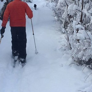 38 reactions · 12 shares | It's warming up and the sun is out in Hood River. Enjoy the snow! Looks like more is on the way next week. #hoodriver #snowday | Visit Hood River | Facebook