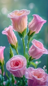 133K views · 4.2K reactions | Lok Sangeet on Reels | Facebook