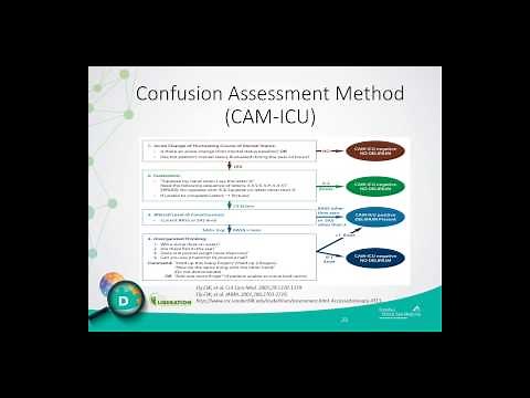 An Integrated Approach to ICU Delirium Assessment, Prevention and Management