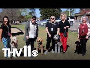 Cabot school service dogs helping kids deal with stress