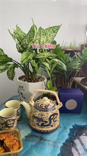 #amtra#boamtra#xuhuong