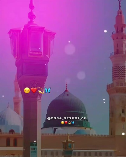 Explore the Best Sindhi Song Status Videos