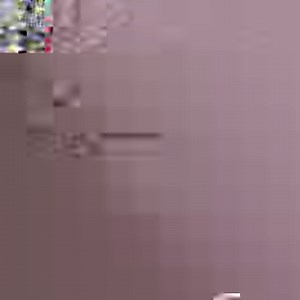 66K views · 1.7K reactions | RIP RUDOLPH: This bear had zero interest in playing any “reindeer games” as it tore through an inflatable decoration – unfortunately no amount of duct tape could revive him after the ferocious attack. https://fxn.ws/3H3zLox | Fox News | Facebook