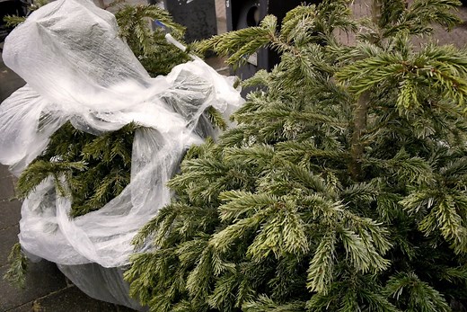 How to dispose of an old Christmas tree in the Twin Cities