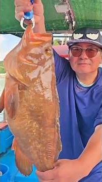 The Biggest Red Spotted Grouper Caught by Live Bait Fishing in Goheung's Inner Waters This Year