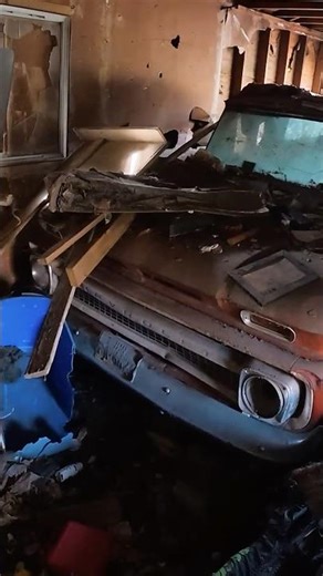 We Saved This Classic Truck From Destruction 🛻#barnfind