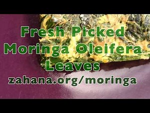 How to cook a tasty Moringa leaf omelette/omelet - by Zahana