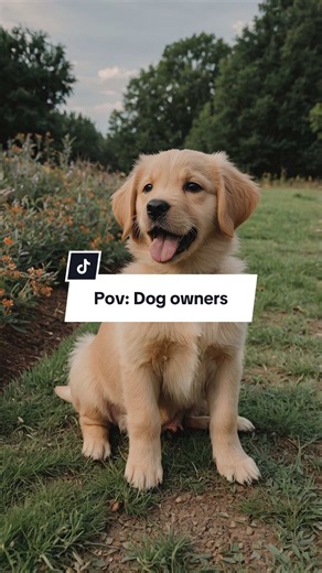 Dog owners like wahala sha😫 #dogsoftiktok #doglover #dogs #winter