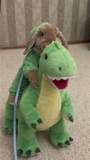 When you’re a tiny bunny but you ride like a boss! 🐰💨 Dino-bunny ready to conquer the world! 🦖✨