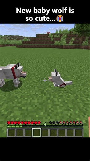 New Baby Wolf So Cute #minecraft #shorts