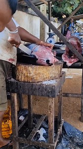 How to cut a Tuna fish... | Fillet Magic
