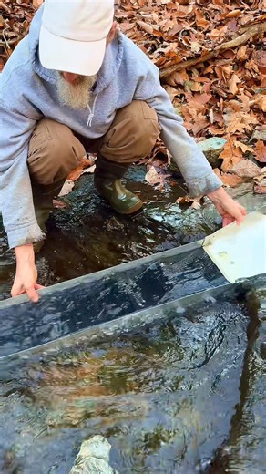 Sluice Prospecting in the VA #gold #emas #goldpanning #goldprospecting #goldprospector #goldfever #goldrush #treasure #treasurehunt #treasurehunter #oro #goldnugget #goldnuggets #goldmining #goldminer #goldmine #geology #minerals #gemstones #bedrockminecraft | FishnGold