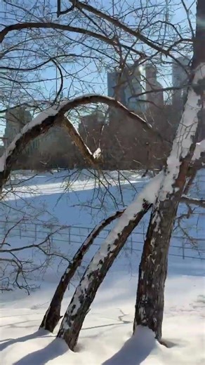 Sunday morning.#travel #nature #black sea #sunny beach #Moskow #sea #romantic #animals #pets