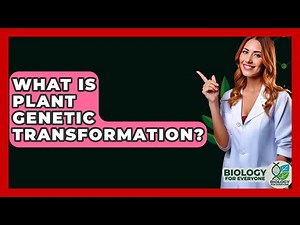 What Is Plant Genetic Transformation? - Biology For Everyone