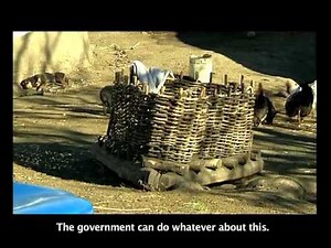 Cutting Edge Ngokabani na lomzimba