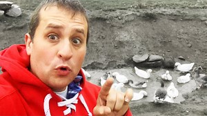 Why the Term Hobby Farm Can Be Misleading