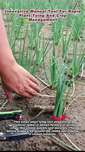 Innovative Manual Tool For Rapid Plant Tying And Crop Management