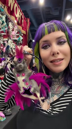 Exploring the World of Taxidermy Oddities