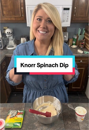 Easy Knorr Spinach Dip Recipe for Game Day