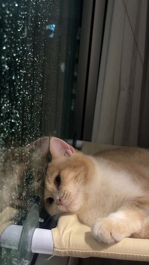 เพราะฉันนั้นเทอาหารไม่เป็น 😹