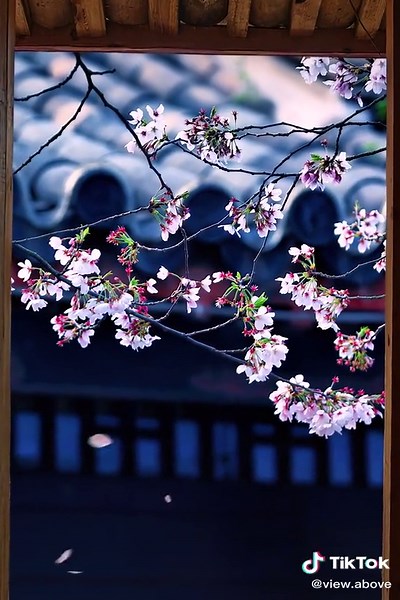 #spring #view #amazing #photoshoot