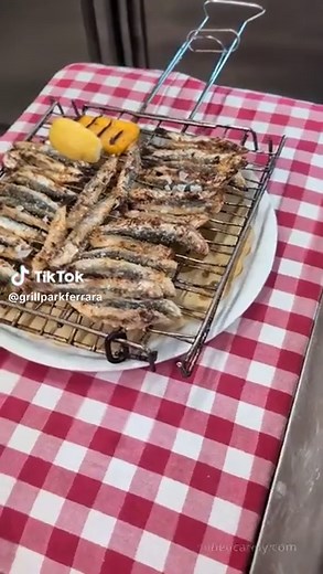 🔥 Ristorante - agriturismo Grill Park Ferrara: piatti tipici (e non solo) di carne e pesce alla brace, primi e dolci di nostra produzione fatti con le uova delle nostre 49 galline felici 🐔🥚. . 🟢 Aperto venerdì sera, sabato (pranzo e cena) e domenica (pranzo e cena). Sempre aperto nelle sere prefestive e nei pranzi festivi. 🤗 I turni in cui riusciamo a coccolarvi di più sono quelli del venerdì sera, sabato a pranzo e domenica sera. . ♿ Locale accessibile 🅿️ Ampio parcheggio interno 🐶 I can