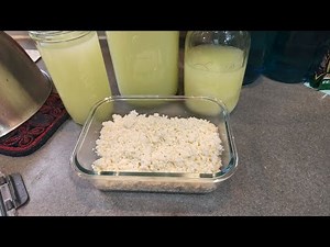 Cheap Eats: Making Cheese from Expired Milk (Only 2 Ingredients)