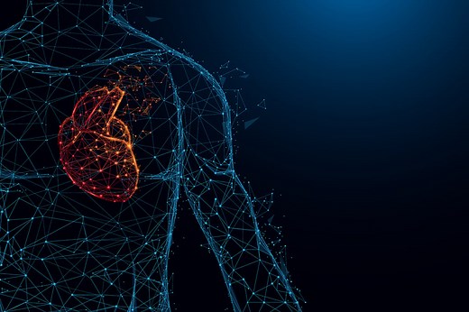 Is It True That Our Body Completely Changes Every 7 Years?