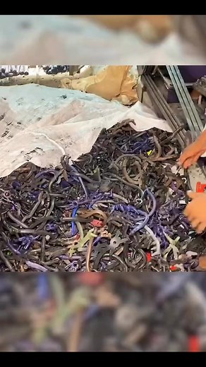 Amazing Videos on Reels