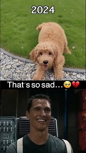 Try to not cry (impossible)😭💔 #dog #jesus #sad