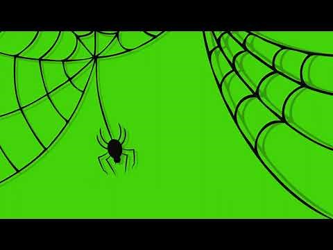 🕷 Glitch Spider Halloween Green Screen Effects 4K🕷