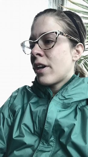 HollisFuneralHome on TikTok