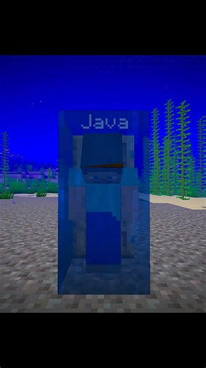java vs bedrock door 🚪 in Minecraft 💪