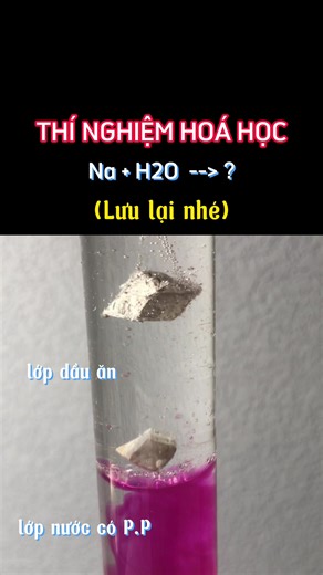 Thí nghiệm hoá học: Na H2O || Sodium water