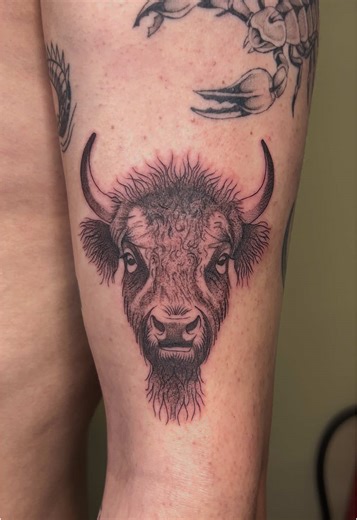 Bison Tattoo Ideas: Exploring Meaning and Styles