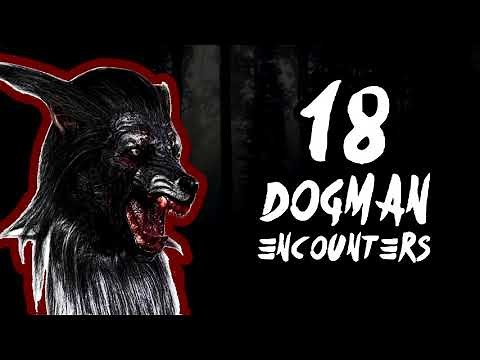 18 DOGMAN ENCOUNTERS COMPILATION (Dogman Of Michigan) - What Lurks Beneath