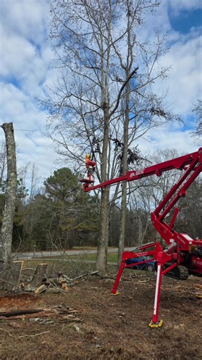 #godisgood #sundayfunday #stumpsrustreeservice #GoodspringTN @Followers tiktok