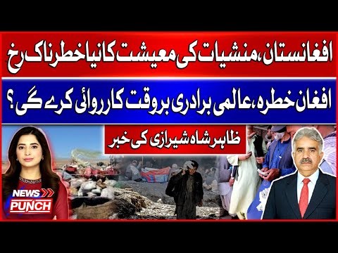 World at Risk? Afghanistan’s Expanding Dr*ug Economy Explained | BOL News